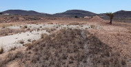 Reventa · Land · Jumilla · Torre del Rico