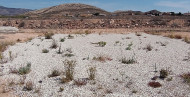 Reventa · Land · Jumilla · Torre del Rico