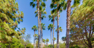 Sale · Bungalow · Torrevieja · Playa de La Acequion