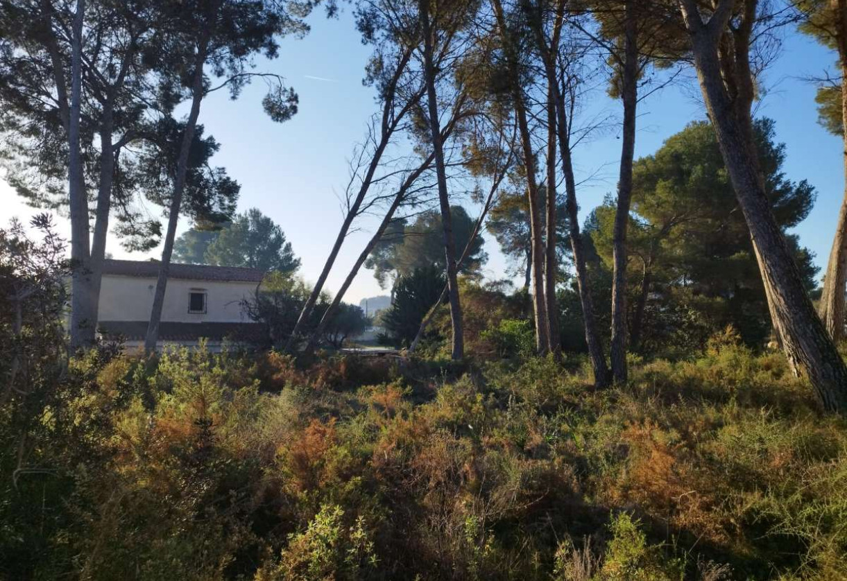 Rynek wtórny · detached house · Moraira