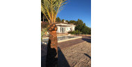 Resale · detached house · Calpe