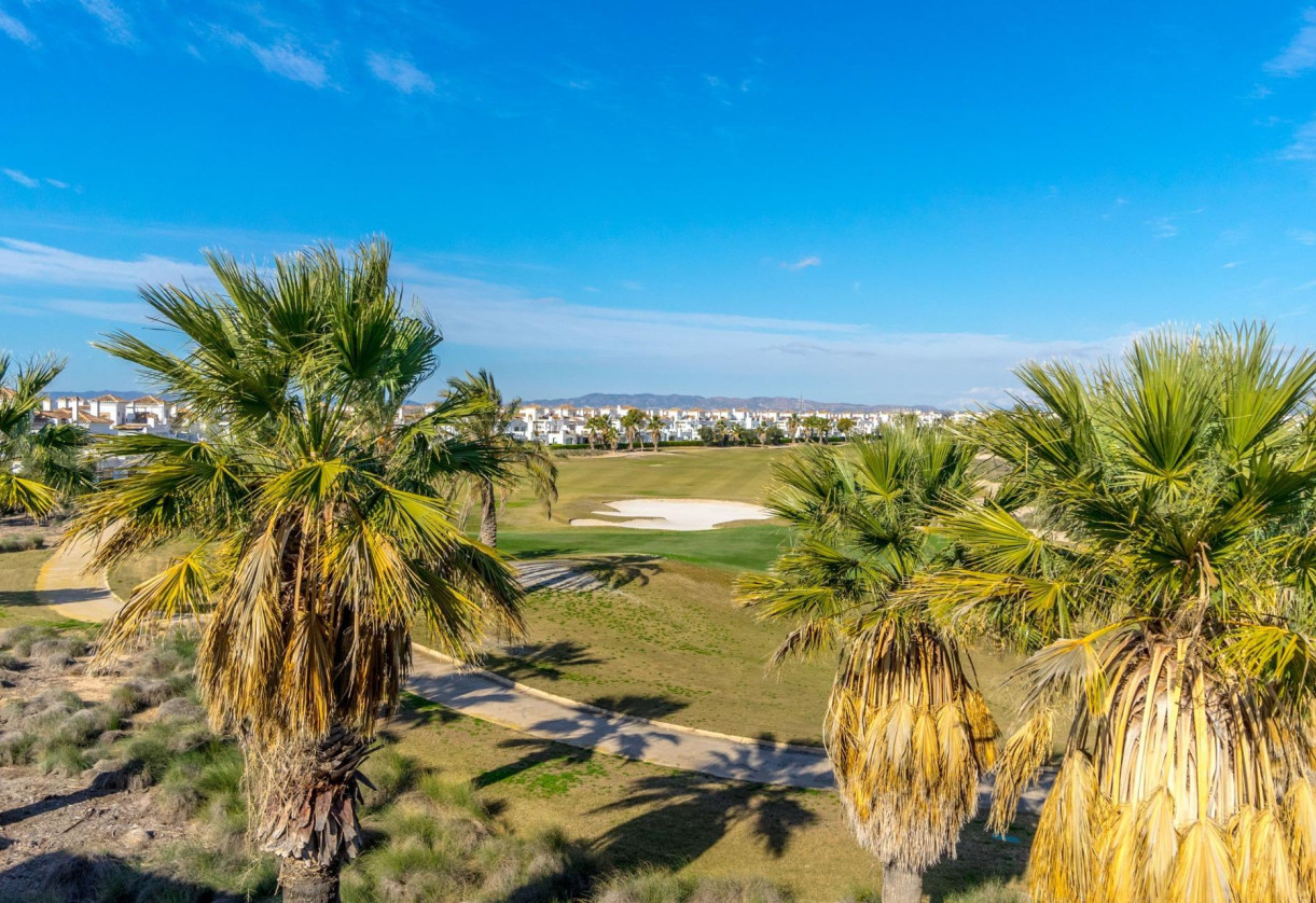 Sale · Villa · Torre - Pacheco · Roldán