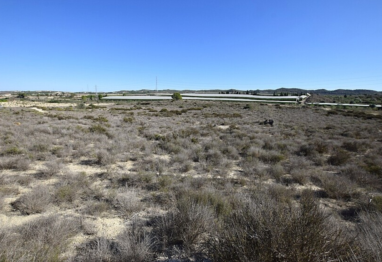 Reventa · Land · San Miguel de Salinas