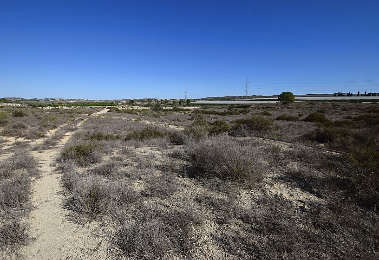 Reventa · Land · San Miguel de Salinas