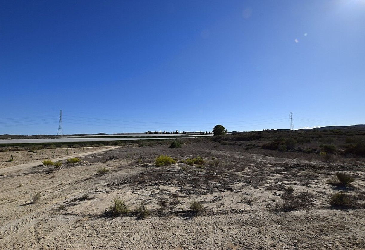 Reventa · Land · San Miguel de Salinas
