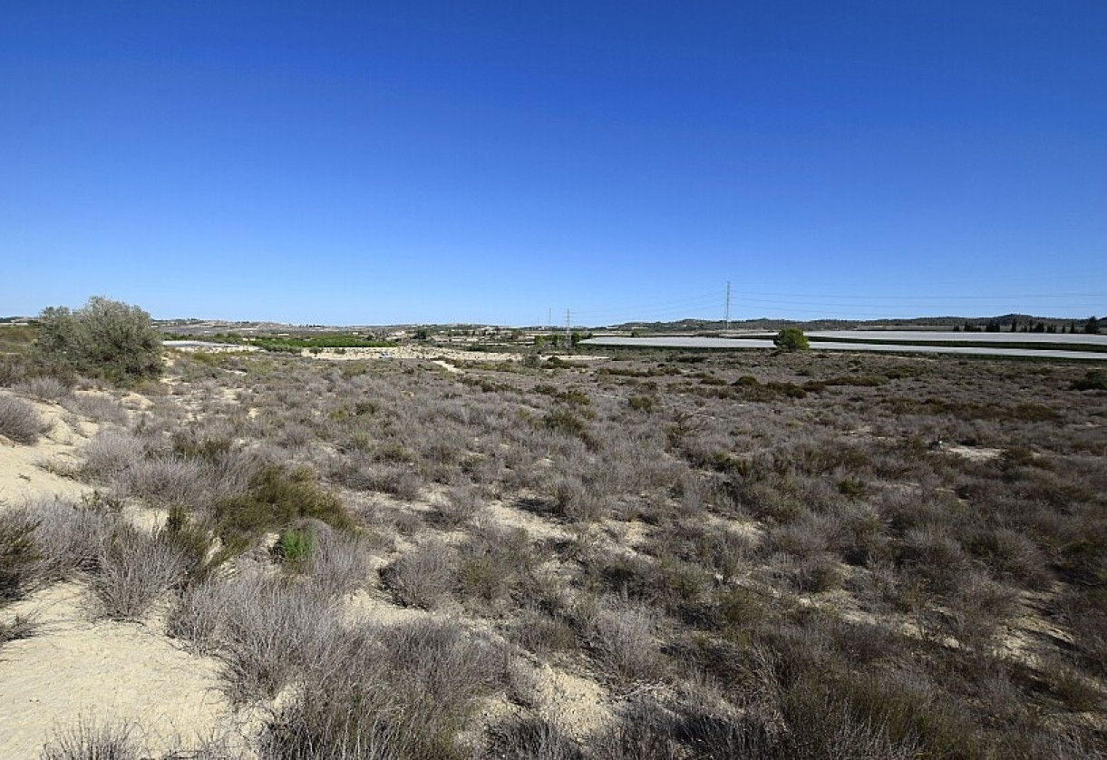 Reventa · Land · San Miguel de Salinas