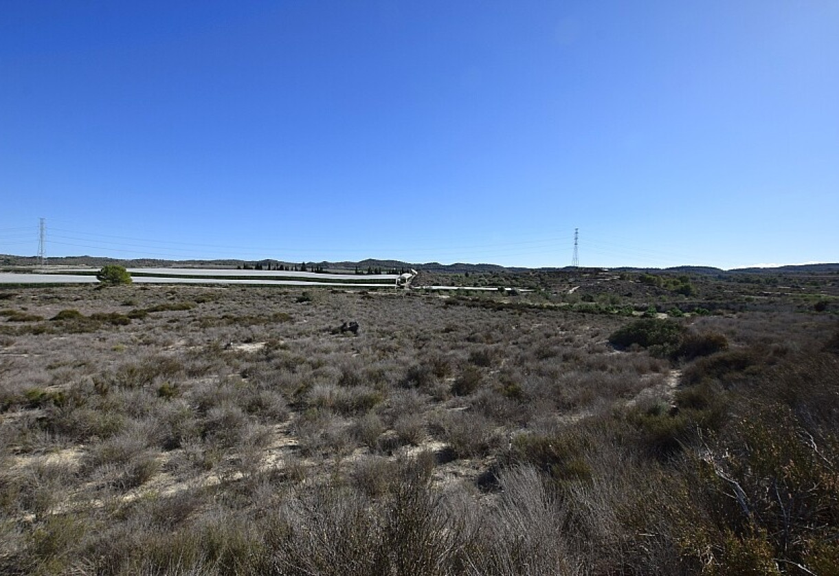 Reventa · Land · San Miguel de Salinas