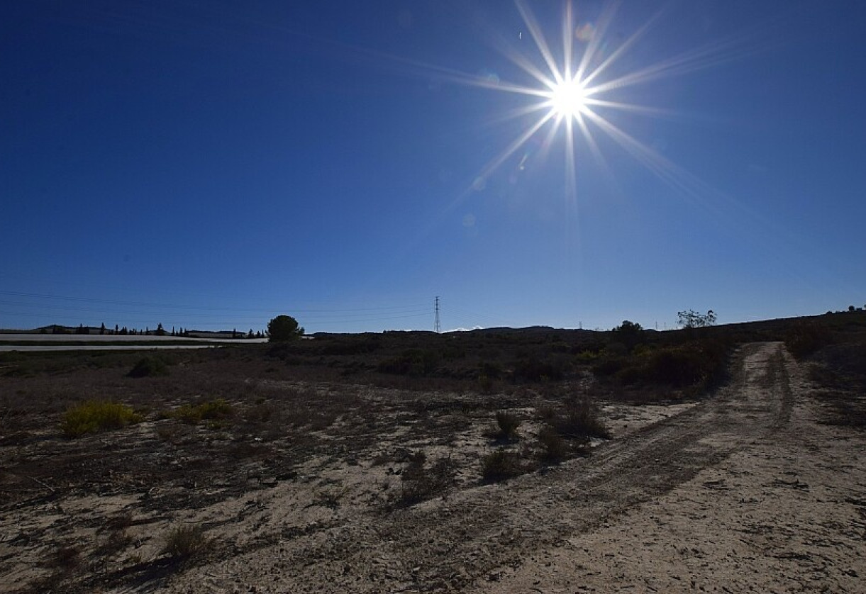 Reventa · Land · San Miguel de Salinas